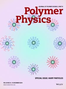 Polymer Physics Cover